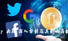 bitp 大陆：深入分析及其影响与挑战
