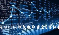如何从Cobo钱包提取资金？详细指南