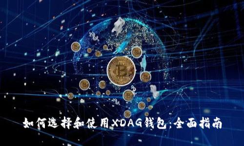 如何选择和使用XDAG钱包：全面指南