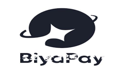 中本聪BTCs免费挖矿下载安装指南