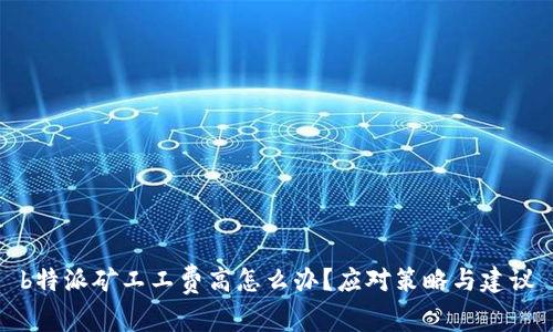 b特派矿工工费高怎么办？应对策略与建议