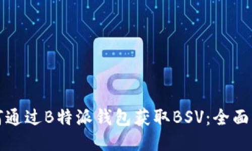 如何通过B特派钱包获取BSV：全面指南