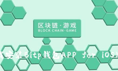 如何下载安装Bitp钱包APP for iOS（苹果版）