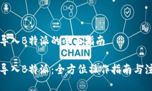 比特币导入B特派的全面指南

比特币导入B特派：全方位操作指南与注意事项