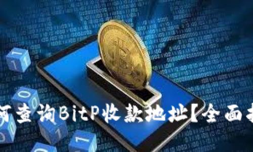 如何查询BitP收款地址？全面指南