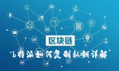 b特派如何复制私钥详解