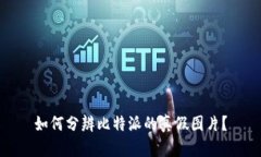 如何分辨比特派的真假图片？