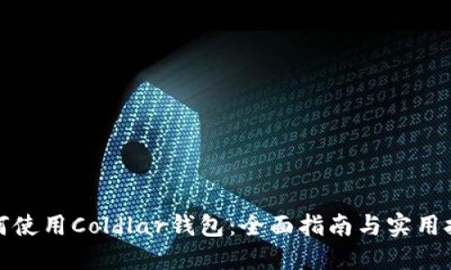 如何使用Coldlar钱包：全面指南与实用技巧
