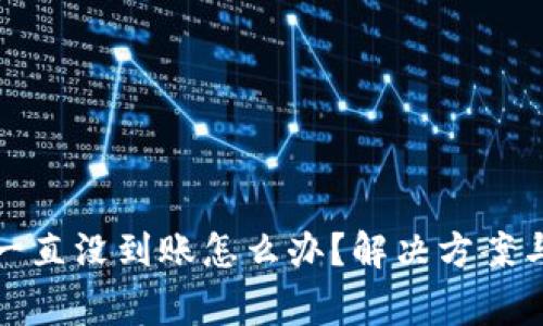 : 比特派提币一直没到账怎么办？解决方案与常见问题解析