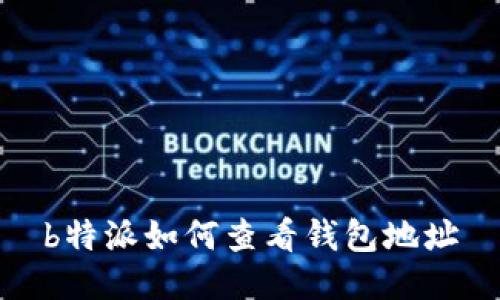 b特派如何查看钱包地址