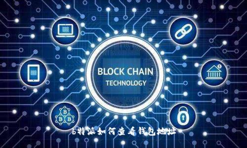 b特派如何查看钱包地址