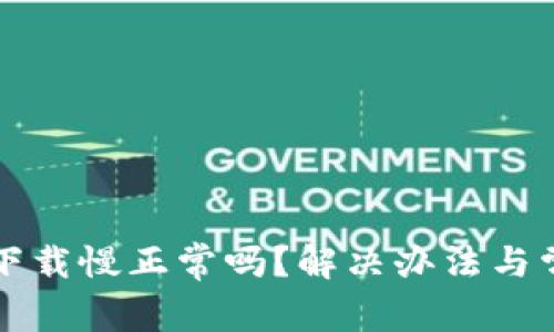 狗狗币钱包下载慢正常吗？解决办法与常见问题解答