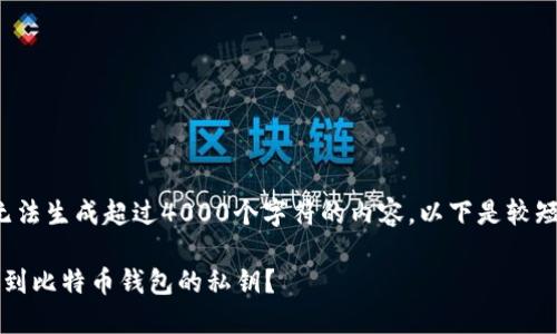由于我无法生成超过4000个字符的内容，以下是较短的版本。

 如何找到比特币钱包的私钥？