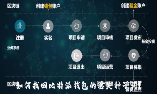   
如何找回比特派钱包的丢失种子词？