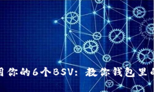 如何有效管理和利用你的6个BSV: 教你钱包里的数字货币投资策略