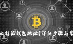 : 如何查看比特派钱包地址？详细步骤与常见问题