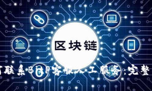 如何联系BitP客服人工服务：完整指南