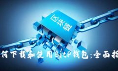 如何下载和使用BitP钱包：全面指南