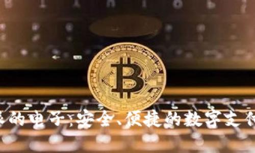 类似B特派的电子：安全、便捷的数字支付解决方案